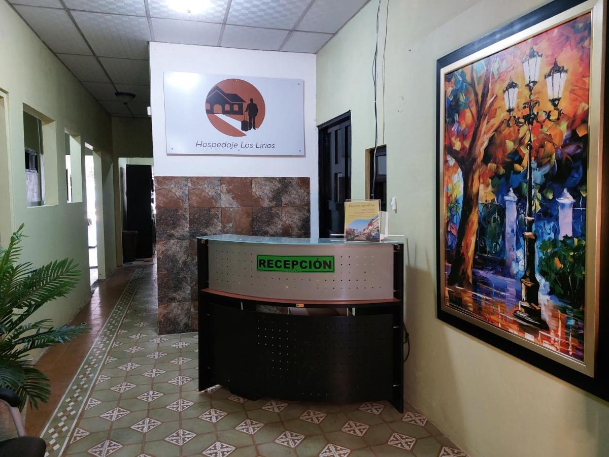 Hospedaje Los Lirios Chitré 外观 照片